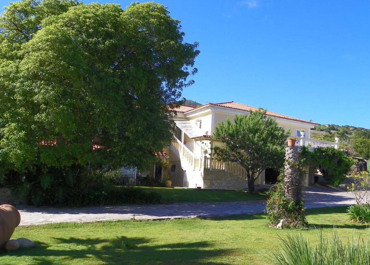 Casa-Palo-Pique Apartment Icod De Los Vinos Exterior photo